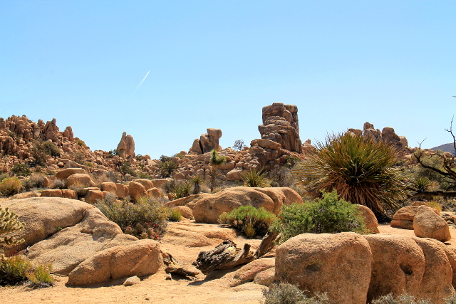 Hidden Valleyn maisemaa. 