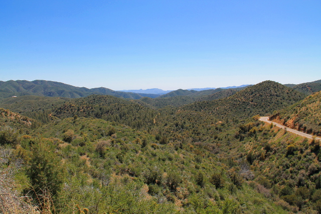 Metsämaisemaa ennen Prescotin kaupunkia. 