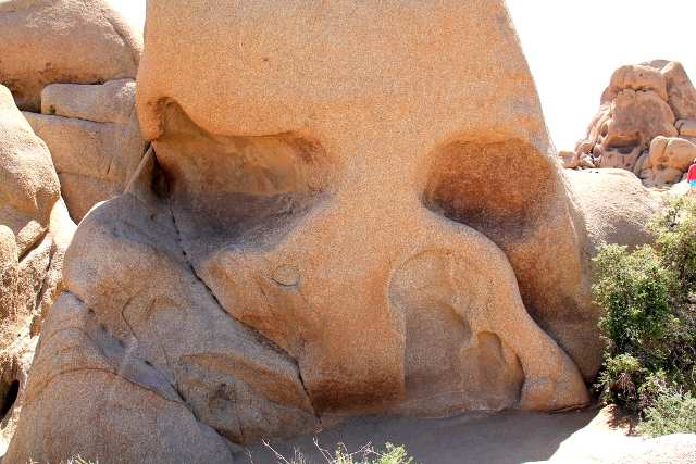 Skull rockin löytää aikalailla tien vierestä, vähän tarvitsee vain nousta kallioille nähdäkseen tämän luonnon muodostelman. 