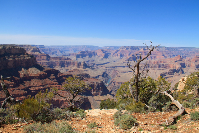 kanjonia ja käppyrää