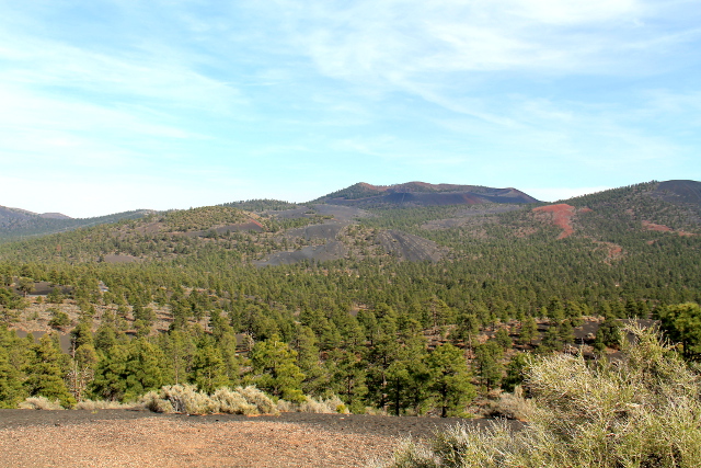 Metsämaisemaa läheltä Sunset Crateria. 