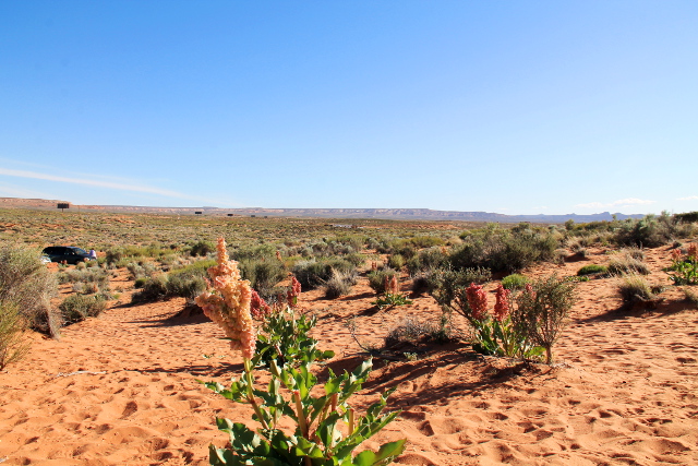 Aavikkoa Horseshoe Bendillä. 