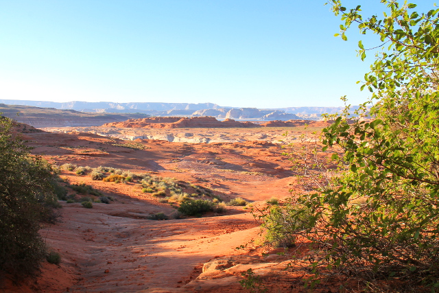 Näkymä Hanging Gardenilta. 