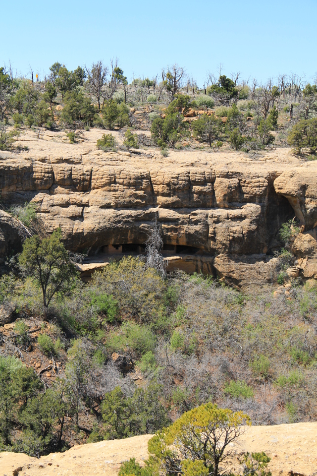 Toisella puolella rotkoa on myös kallioasumuksia jos tarkkaan katsot. Ehkä tuonne on majoitettu epäsosiaalisemmat yksilöt ja kommunikoitu rotkon yli huutelemalla. 