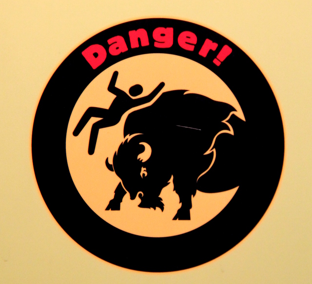 Biisonit näyttävät hitailta ja turistit saattavat mennä valokuvailemaan niitä turhan läheltä. En voi mitään että vierailijakeskuksen valokuvissa esitellyt haaverit huvittivat kovasti. 