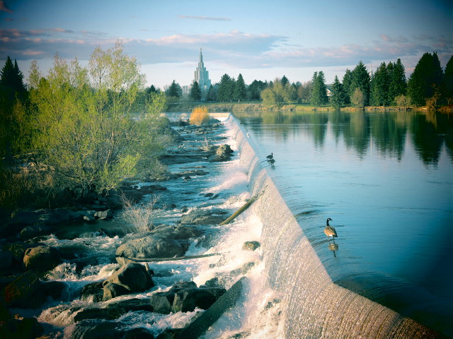 Idaho Fallsin putoukset ja hanhet siinä reunalla. Reunan alla on kait turbiineja vesivoiman tuottamiseen. 