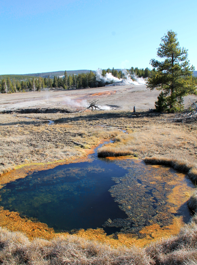 kuuma lähde metsässä_35