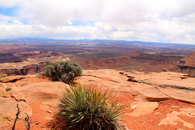 maisema canyonlandilta