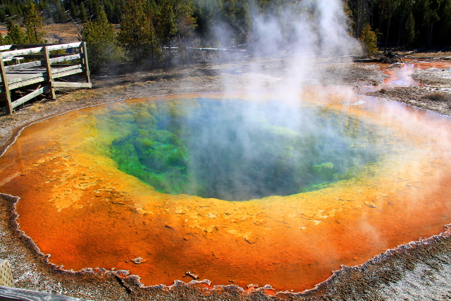 morning glory pool_20