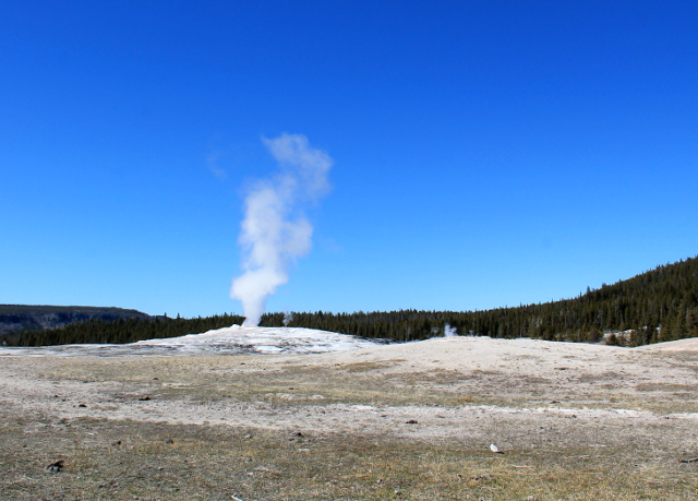 Old Faithfullin geysiri alkaessaan tupruttelemaan. 