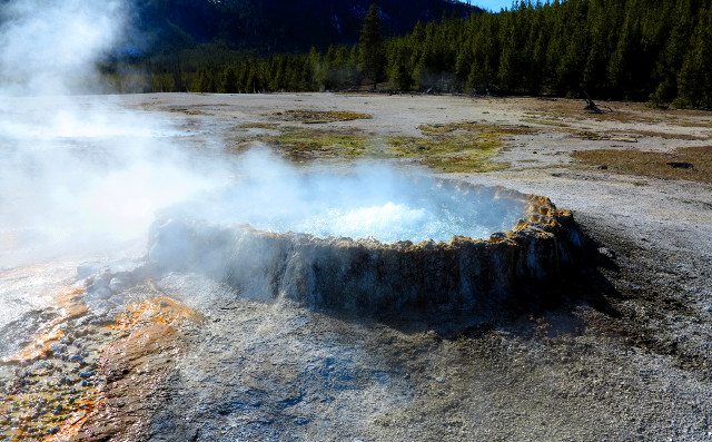 punch bowl spring_12_krisu