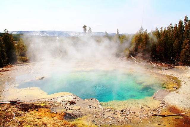 Emerald Pool sijaitsee Norrisilla eri suunnassa kun aiemmat kuvat, Back Basinilla. Siellä kun olisi jatkanut eteenpäin olisi polun varrella varmasti ollut vaikka mitä, mm. Steamboat geyser ja Cistern Spring. 