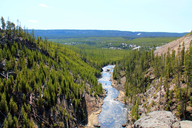 Joki Gibbon Fallsilla läntisessä Yellowstonessa ihan tien vieressä. 