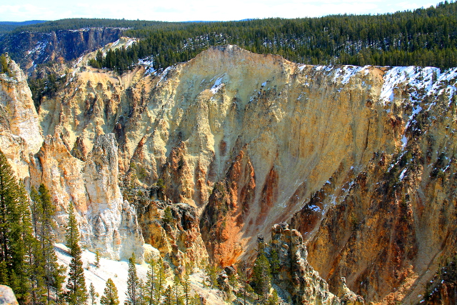 Tämän kuvan alareunasta voi nähdä millaiseen paikkaan sääkset olivat pesänsä laittaneet.