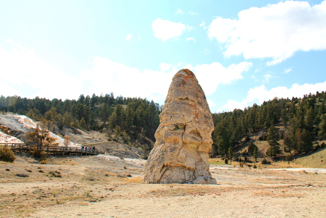 Liberty cap. 