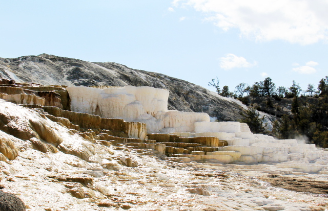 mammothin tasanteita