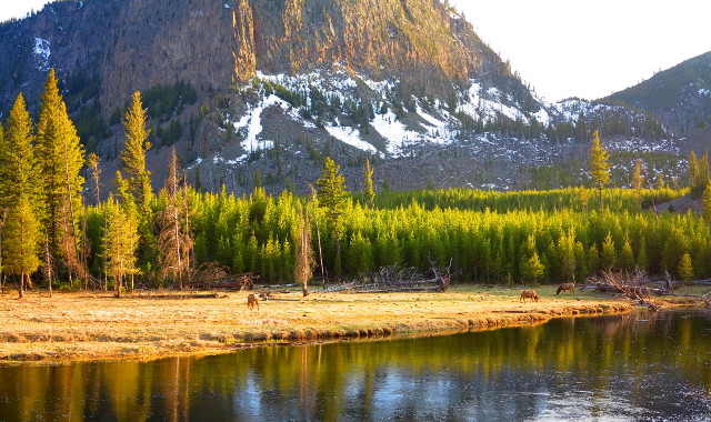 Peurojakin nähtiin. 