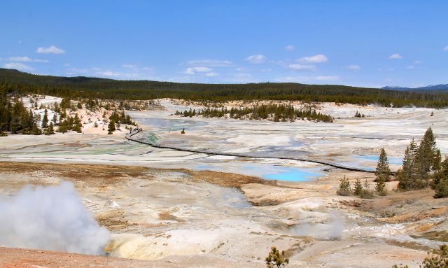 Porcelain Basin Norrisilla. 