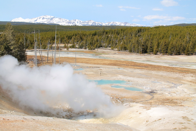 Edustalla tupruttaa Black Growlerin fumaroli. 