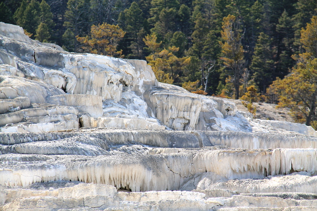 valunutta kiveä mammothissa