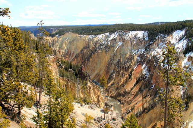 yellowstone grand canyon_1