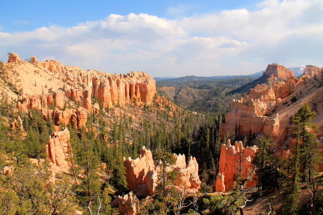 Brycen kanjonilla näyttää paljon tältä. 