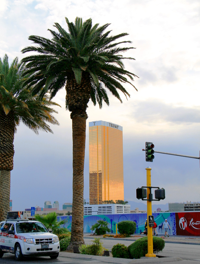 Ihanko oikeasti jotkut meinaavat että kultaisia omalla nimellään varustettuja torneja rakenteleva tyyppi olisi sopiva presidentiksi?