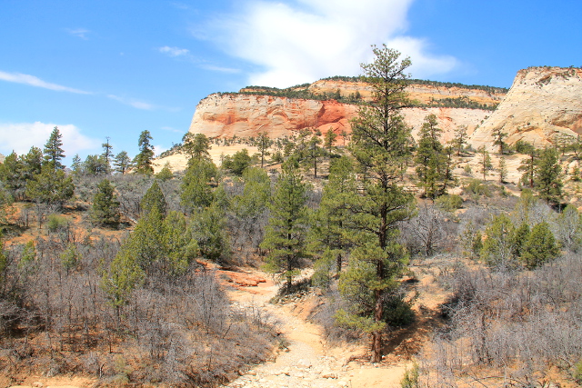 Zionissa lähtisi ajotieltä paljon polkuja ja siellä voisi tehdä ihan lyhyitäkin kävelyitä jos vain tien varresta löytää parkkitilaa. 