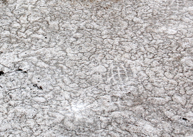 Jalanjälki suola-aavikolla. 