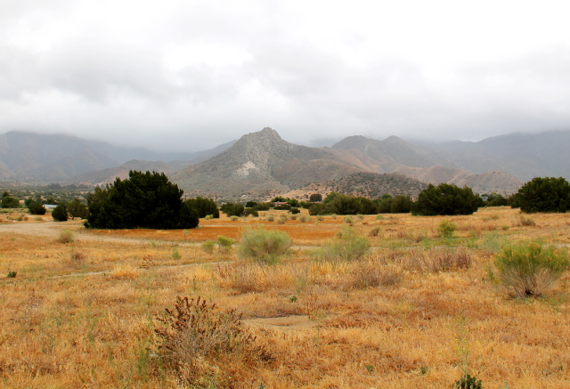 Ihan tuntematonta seutua Kaliforniassa. Ei se niin tupaten täysi osavaltio olekaan. 