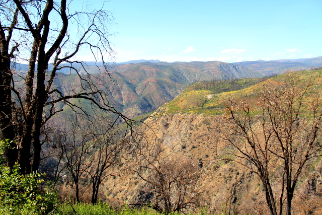 Maisema Yosemitesta poistuessa. 