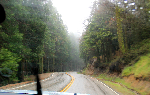 Käännyimme 178-tieltä pahaa-aavistamattomasti 155-tielle. Tiehän kiemursi ja nousi. Olimme sitten ihan erilaisissa maisemissa Sierra Nevadan vuoristossa. 