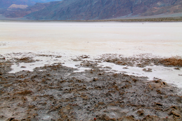 Edessä mudalta näyttävä hiekka on oikeasti kovapintaista ja kuivaa, 