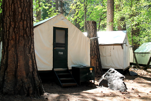 Tämmöistä telttamajoitusta olisi Yosemite Valleyssa, ei siinä mitään mutta kun kallis hinta. 