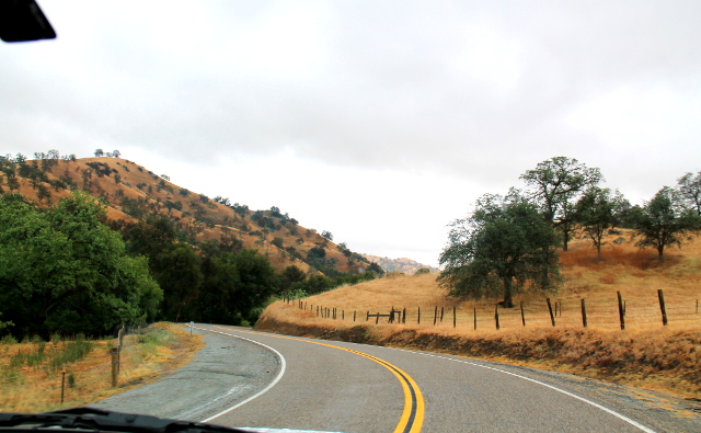 tie kumpujen keskellä