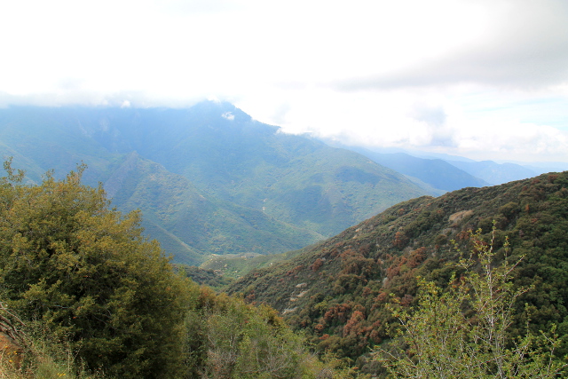 usvaiset kukkulat_13