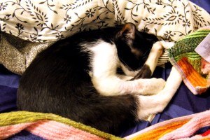 Angelina nukkui paljon lopuksi. 