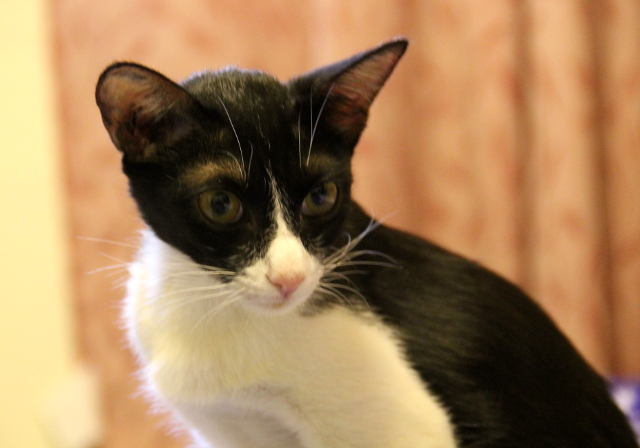 Hei hei rakas Angelina, viimeinen kuvani sinusta. 