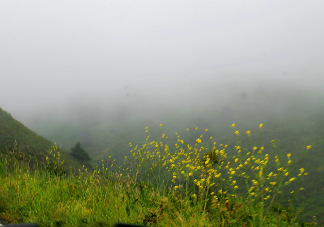 Sumuista kukkulaa Muirista poistuessa. 