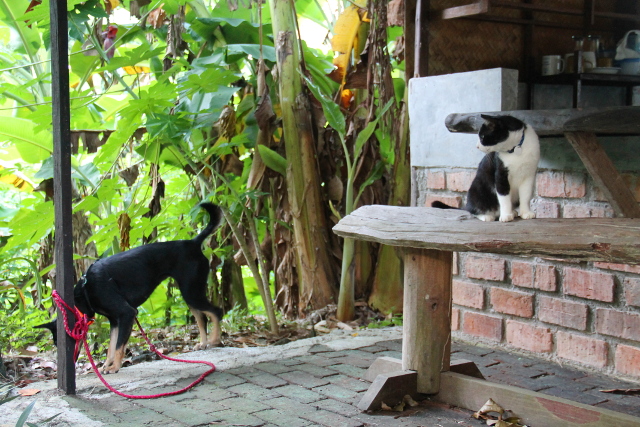 Lexie ja Billy pihalla. 