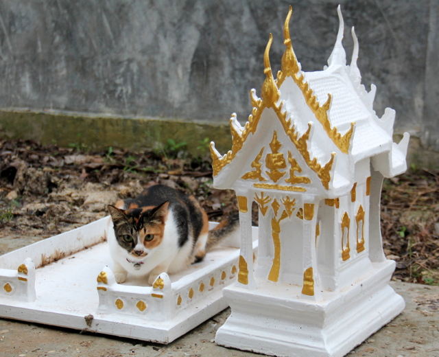 Kissoilla oli jännää. 