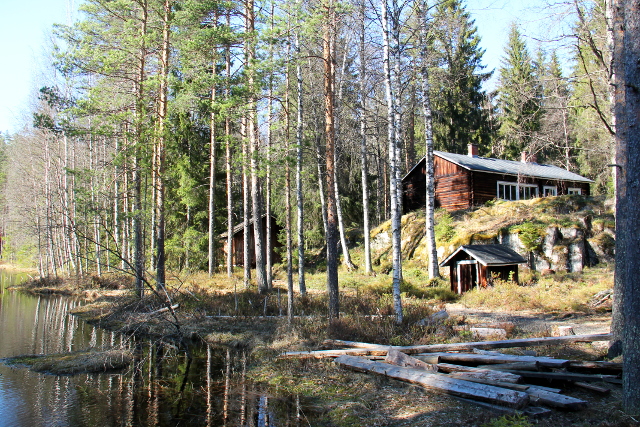 Lortikka sijaitsee lammenrannalla ylhäällä. 