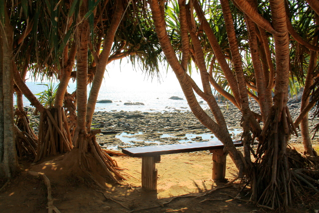 Koh Lantan kansallispuistossa yritin maata ja rentoutua tällä penkillä, mutta niin vain aivot alkoivat jauhaa työjuttuja. 