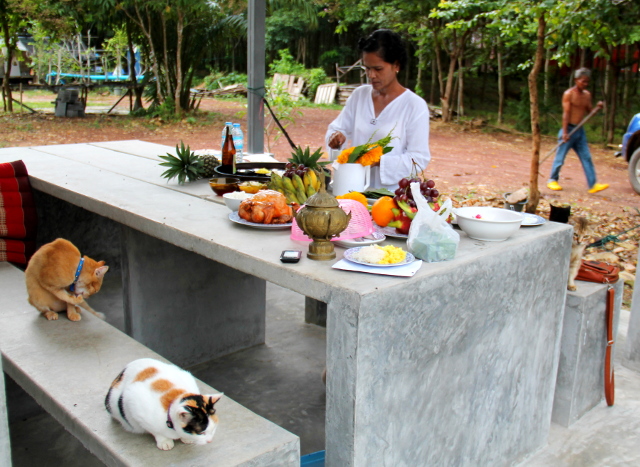 seremoniavalmisteluja2