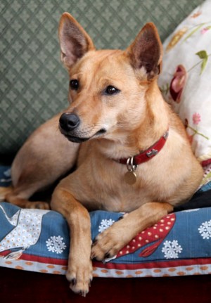 Toin Wispan Suomeen elokuussa 2015. 