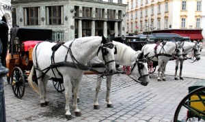 Tämä ei ole yhtään mukavaa 