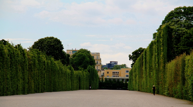 Korkeat pensasaidat Schönburnnilla. Voi vain kuvitella miten näiden välistä on töpsytelty hevosvaunuilla. 