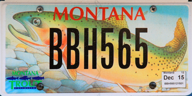 Montanan kalarekkari. 