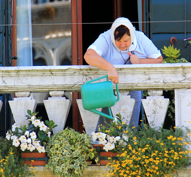 mummo kastelee kukkia