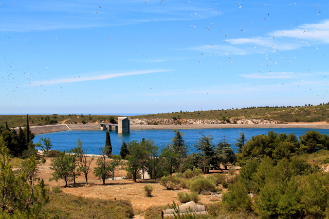 La Batarellen takana on iso vesiallas. 